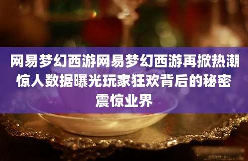 网易梦幻西游网易梦幻西游再掀热潮惊人数据曝光玩家狂欢背后的秘密震惊业界