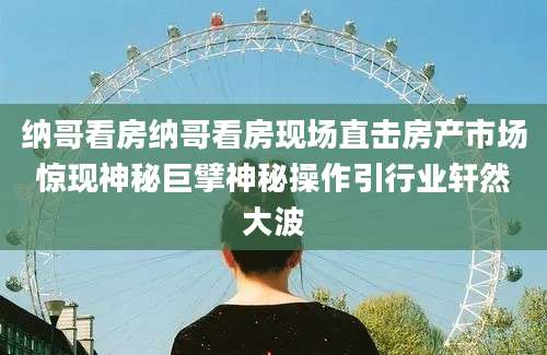 纳哥看房纳哥看房现场直击房产市场惊现神秘巨擘神秘操作引行业轩然大波