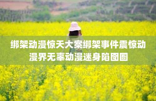 绑架动漫惊天大案绑架事件震惊动漫界无辜动漫迷身陷囹圄