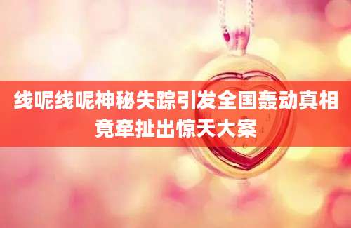 线呢线呢神秘失踪引发全国轰动真相竟牵扯出惊天大案