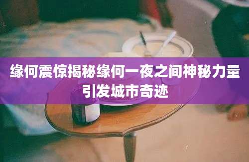 缘何震惊揭秘缘何一夜之间神秘力量引发城市奇迹