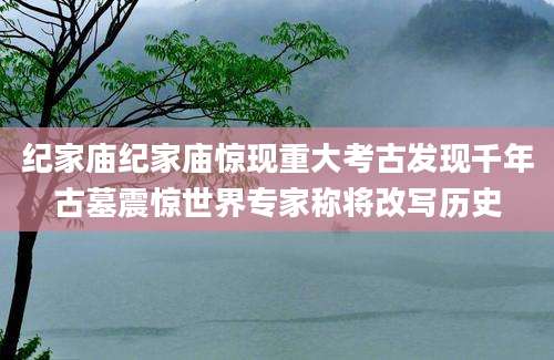 纪家庙纪家庙惊现重大考古发现千年古墓震惊世界专家称将改写历史