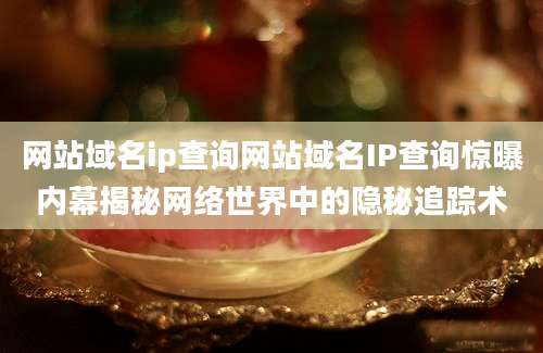 网站域名ip查询网站域名IP查询惊曝内幕揭秘网络世界中的隐秘追踪术