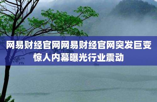 网易财经官网网易财经官网突发巨变惊人内幕曝光行业震动
