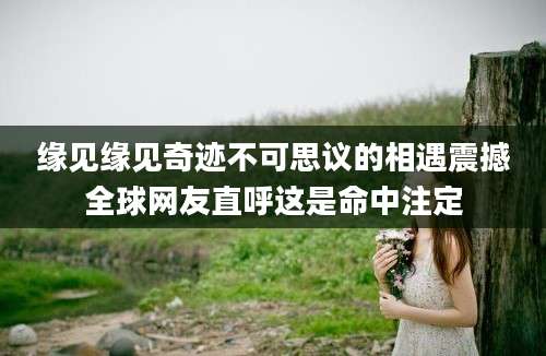 缘见缘见奇迹不可思议的相遇震撼全球网友直呼这是命中注定
