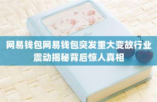网易钱包网易钱包突发重大变故行业震动揭秘背后惊人真相
