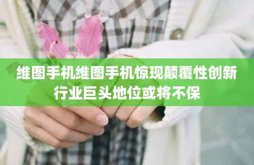 维图手机维图手机惊现颠覆性创新行业巨头地位或将不保