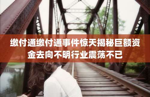 缴付通缴付通事件惊天揭秘巨额资金去向不明行业震荡不已