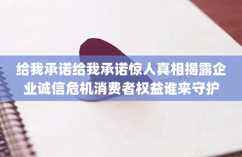 给我承诺给我承诺惊人真相揭露企业诚信危机消费者权益谁来守护