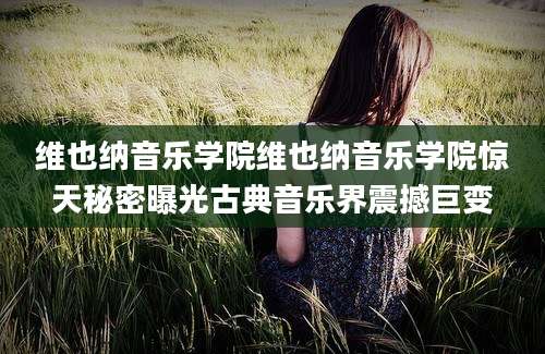 维也纳音乐学院维也纳音乐学院惊天秘密曝光古典音乐界震撼巨变
