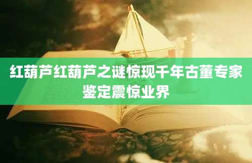 红葫芦红葫芦之谜惊现千年古董专家鉴定震惊业界