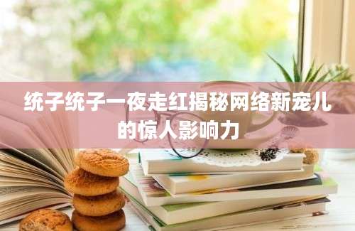 统子统子一夜走红揭秘网络新宠儿的惊人影响力