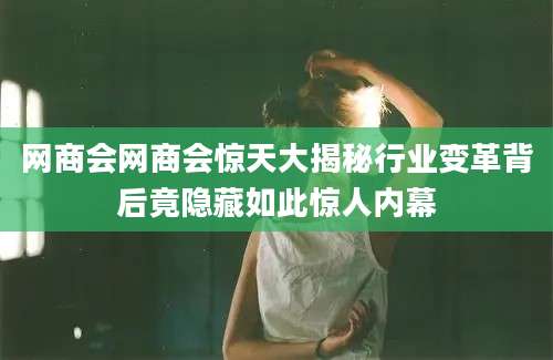网商会网商会惊天大揭秘行业变革背后竟隐藏如此惊人内幕