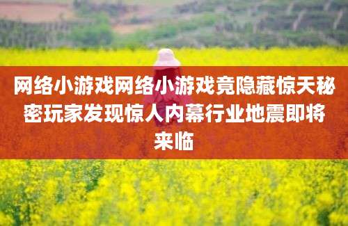 网络小游戏网络小游戏竟隐藏惊天秘密玩家发现惊人内幕行业地震即将来临