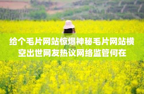 给个毛片网站惊爆神秘毛片网站横空出世网友热议网络监管何在