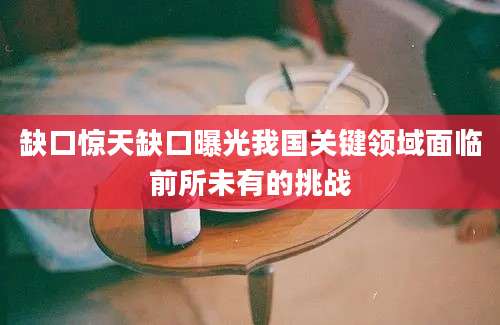 缺口惊天缺口曝光我国关键领域面临前所未有的挑战
