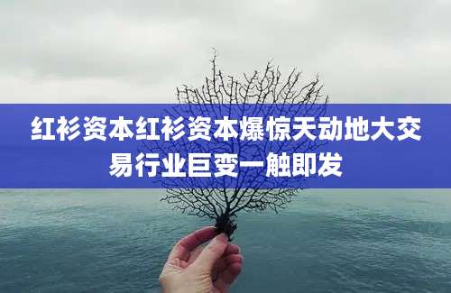 红衫资本红衫资本爆惊天动地大交易行业巨变一触即发