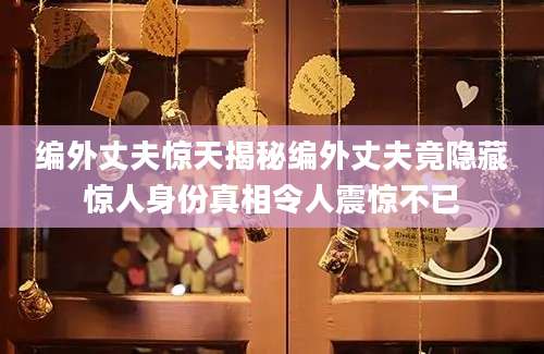 编外丈夫惊天揭秘编外丈夫竟隐藏惊人身份真相令人震惊不已