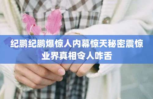 纪鹏纪鹏爆惊人内幕惊天秘密震惊业界真相令人咋舌