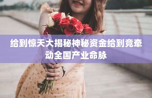 给到惊天大揭秘神秘资金给到竟牵动全国产业命脉