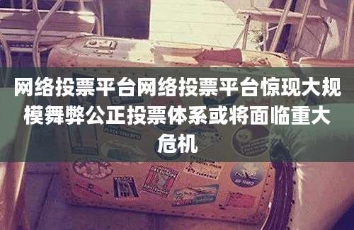 网络投票平台网络投票平台惊现大规模舞弊公正投票体系或将面临重大危机