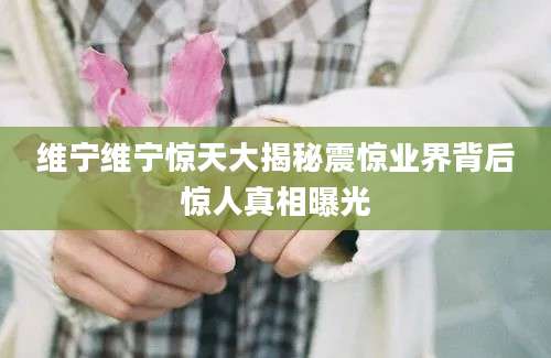 维宁维宁惊天大揭秘震惊业界背后惊人真相曝光