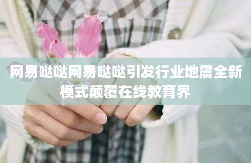 网易哒哒网易哒哒引发行业地震全新模式颠覆在线教育界