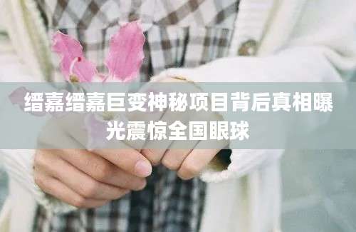 缙嘉缙嘉巨变神秘项目背后真相曝光震惊全国眼球