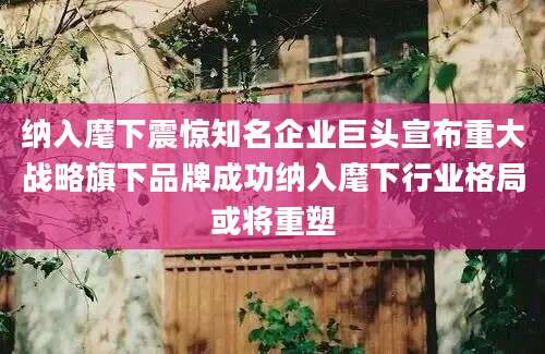纳入麾下震惊知名企业巨头宣布重大战略旗下品牌成功纳入麾下行业格局或将重塑
