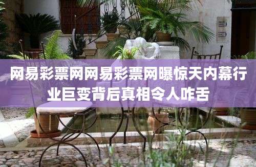 网易彩票网网易彩票网曝惊天内幕行业巨变背后真相令人咋舌