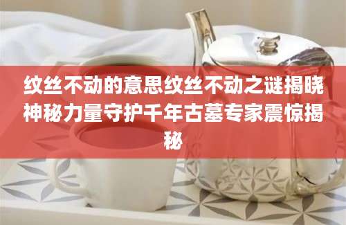 纹丝不动的意思纹丝不动之谜揭晓神秘力量守护千年古墓专家震惊揭秘