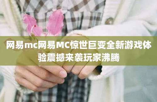 网易mc网易MC惊世巨变全新游戏体验震撼来袭玩家沸腾
