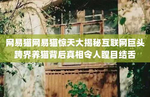 网易猫网易猫惊天大揭秘互联网巨头跨界养猫背后真相令人瞠目结舌