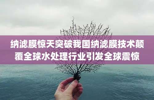纳滤膜惊天突破我国纳滤膜技术颠覆全球水处理行业引发全球震惊