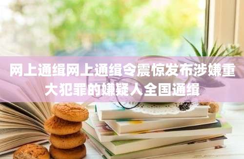 网上通缉网上通缉令震惊发布涉嫌重大犯罪的嫌疑人全国通缉