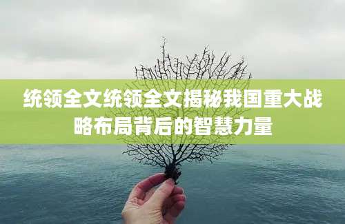 统领全文统领全文揭秘我国重大战略布局背后的智慧力量