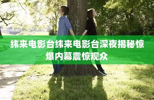 纬来电影台纬来电影台深夜揭秘惊爆内幕震惊观众