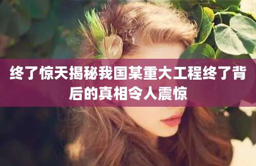 终了惊天揭秘我国某重大工程终了背后的真相令人震惊