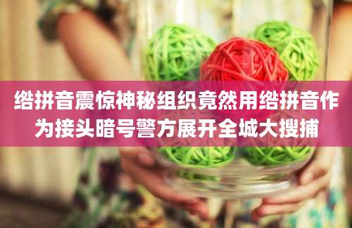 绺拼音震惊神秘组织竟然用绺拼音作为接头暗号警方展开全城大搜捕