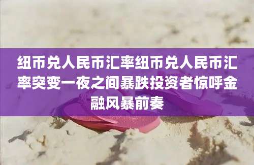 纽币兑人民币汇率纽币兑人民币汇率突变一夜之间暴跌投资者惊呼金融风暴前奏
