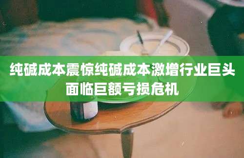 纯碱成本震惊纯碱成本激增行业巨头面临巨额亏损危机