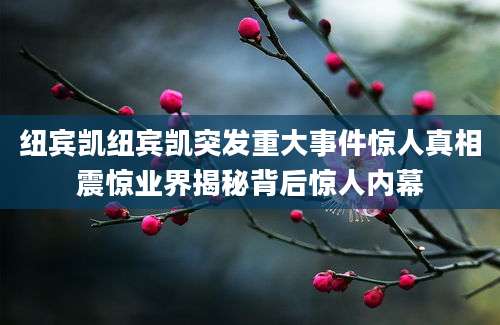 纽宾凯纽宾凯突发重大事件惊人真相震惊业界揭秘背后惊人内幕
