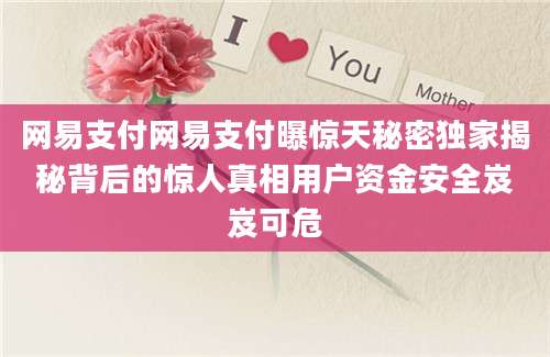 网易支付网易支付曝惊天秘密独家揭秘背后的惊人真相用户资金安全岌岌可危
