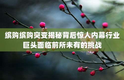 缤购缤购突变揭秘背后惊人内幕行业巨头面临前所未有的挑战