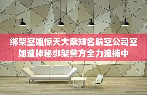 绑架空姐惊天大案知名航空公司空姐遭神秘绑架警方全力追捕中