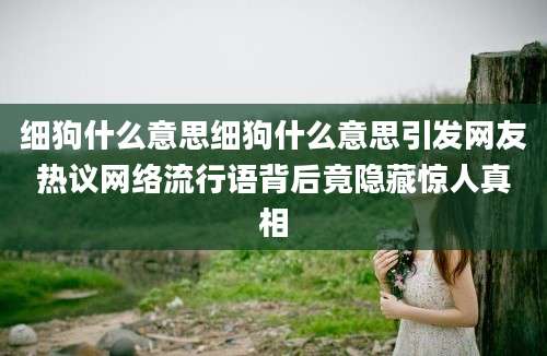 细狗什么意思细狗什么意思引发网友热议网络流行语背后竟隐藏惊人真相