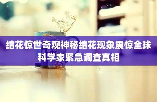 结花惊世奇观神秘结花现象震惊全球科学家紧急调查真相