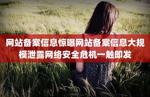 网站备案信息惊曝网站备案信息大规模泄露网络安全危机一触即发