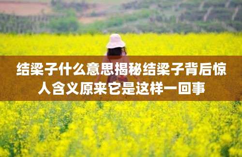 结梁子什么意思揭秘结梁子背后惊人含义原来它是这样一回事