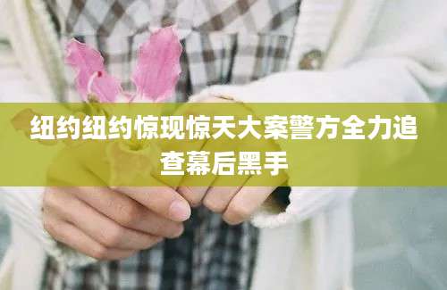 纽约纽约惊现惊天大案警方全力追查幕后黑手